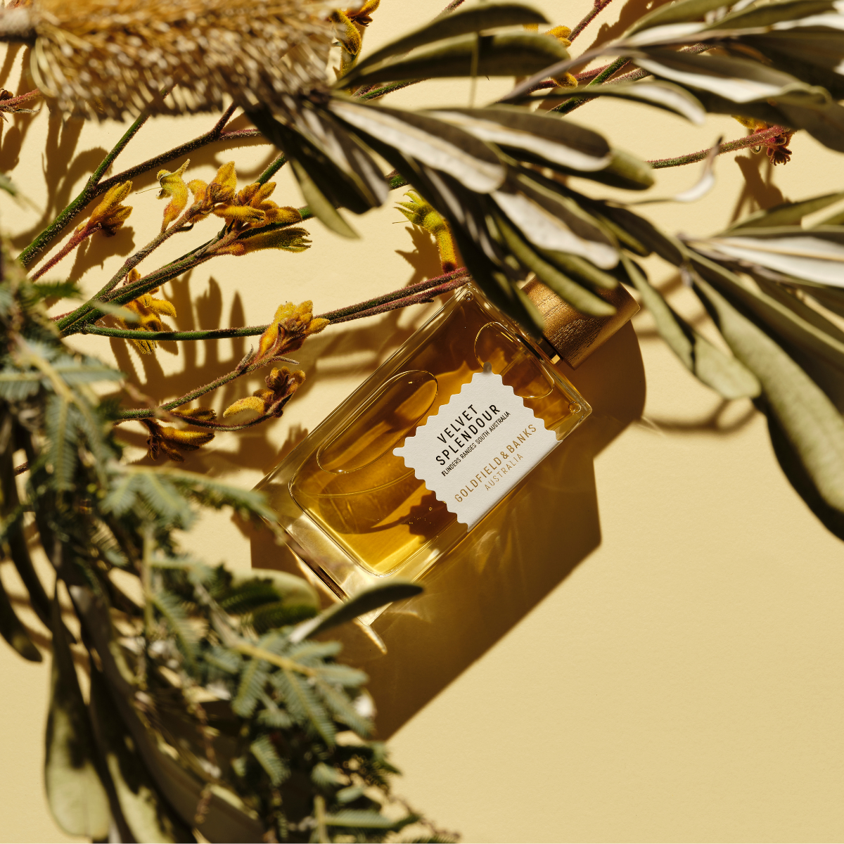 Velvet Splendour - Goldfield & Banks Australia Luxury Perfume House 